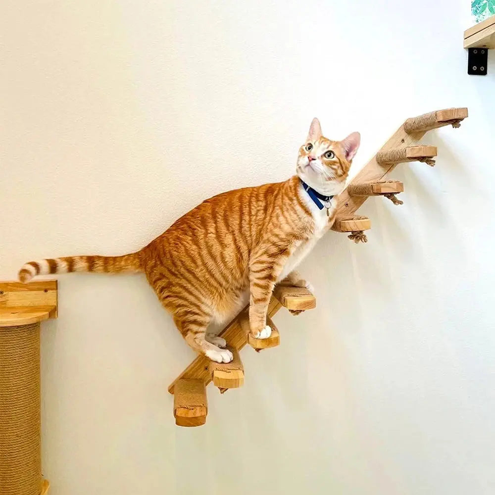 Escalier mural en bois massif pour chats actifs et curieux