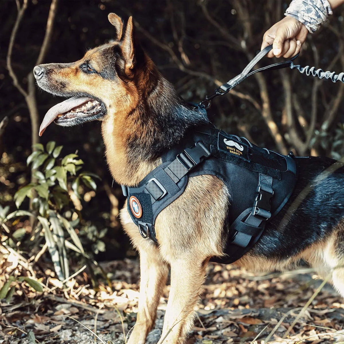 Harnais Tactique pour Chien avec Poignée – Gilet Anti-Traction Réglable, Panneaux Molle et Patch ID