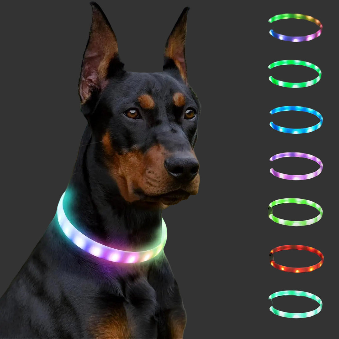 Collier Lumineux Chien, Rechargeable Avec 9 Modes D'Éclairage
