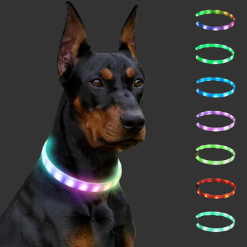 Collier Lumineux Chien, Rechargeable Avec 9 Modes D'Éclairage