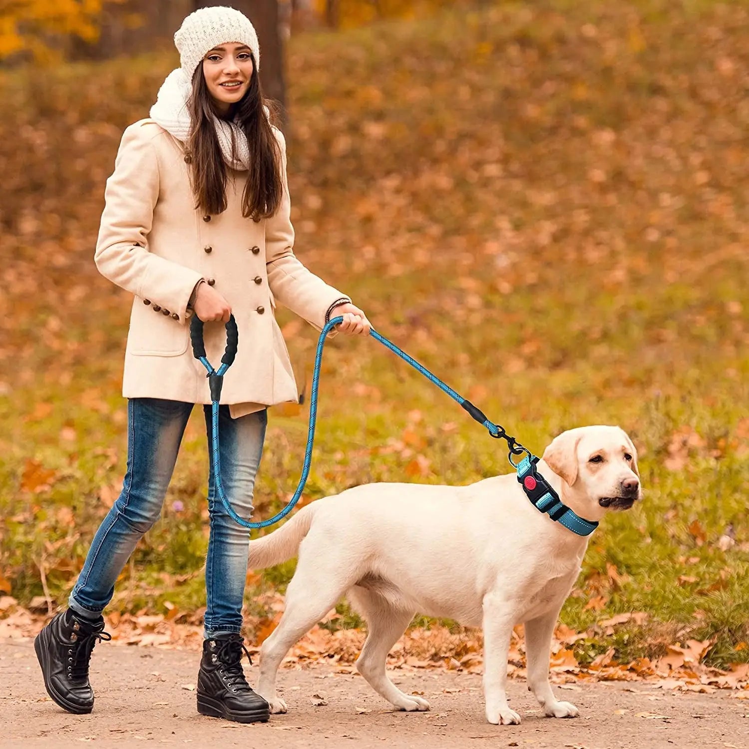 Collier Pour Chien Réfléchissant | visibilité et sécurité la nuit