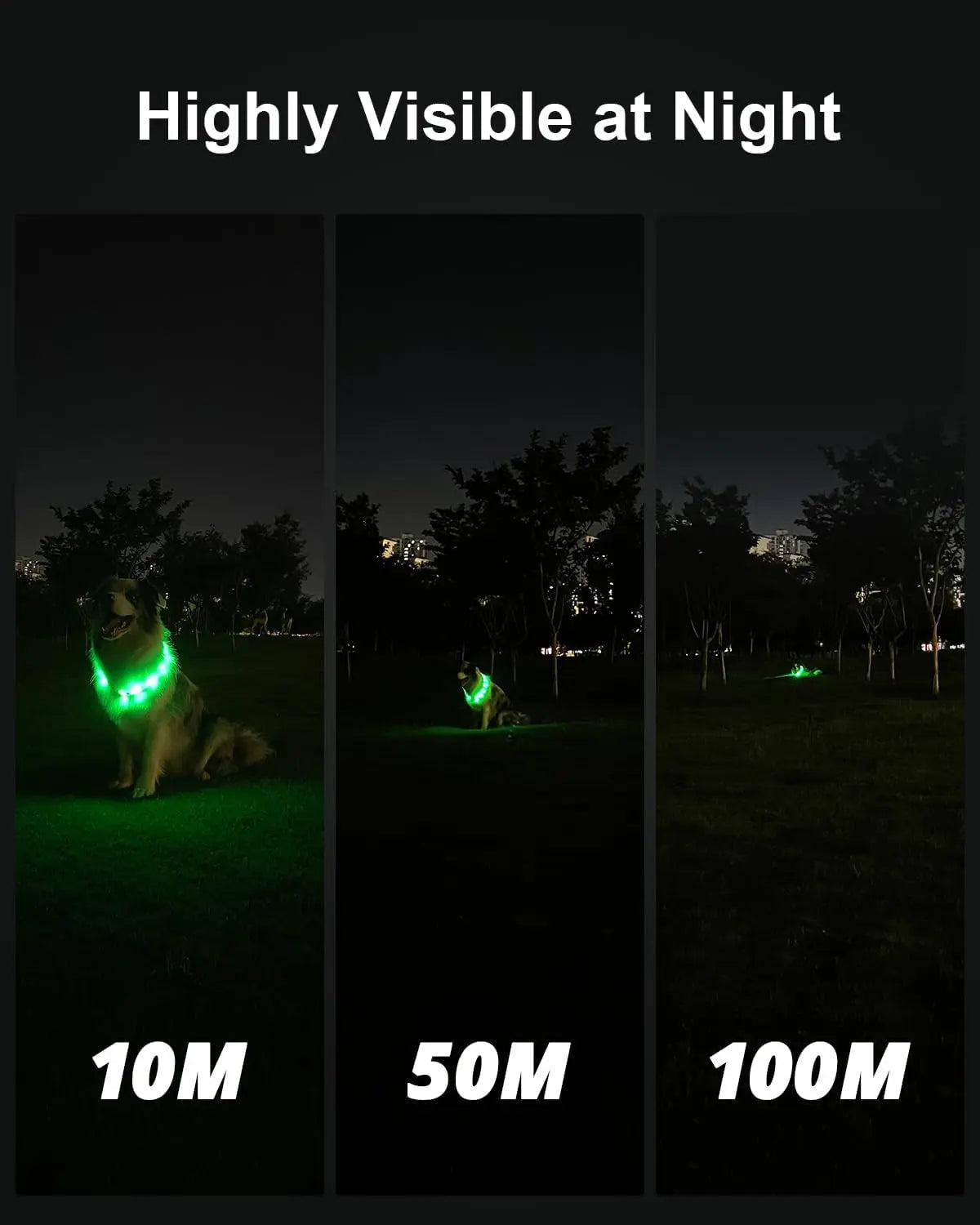 Collier Lumineux Chien, Rechargeable Avec 9 Modes D'Éclairage