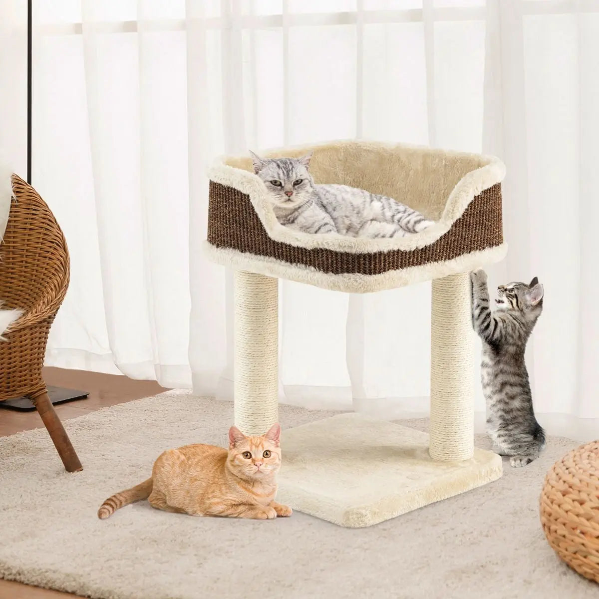 Tour D'Arbre À Chat Compacte Avec Perchoir En Peluche Et Griffoirs Pour Se Faire Ses Griffes Gris/Beige