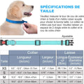 Collier Pour Chien Réfléchissant | visibilité et sécurité la nuit