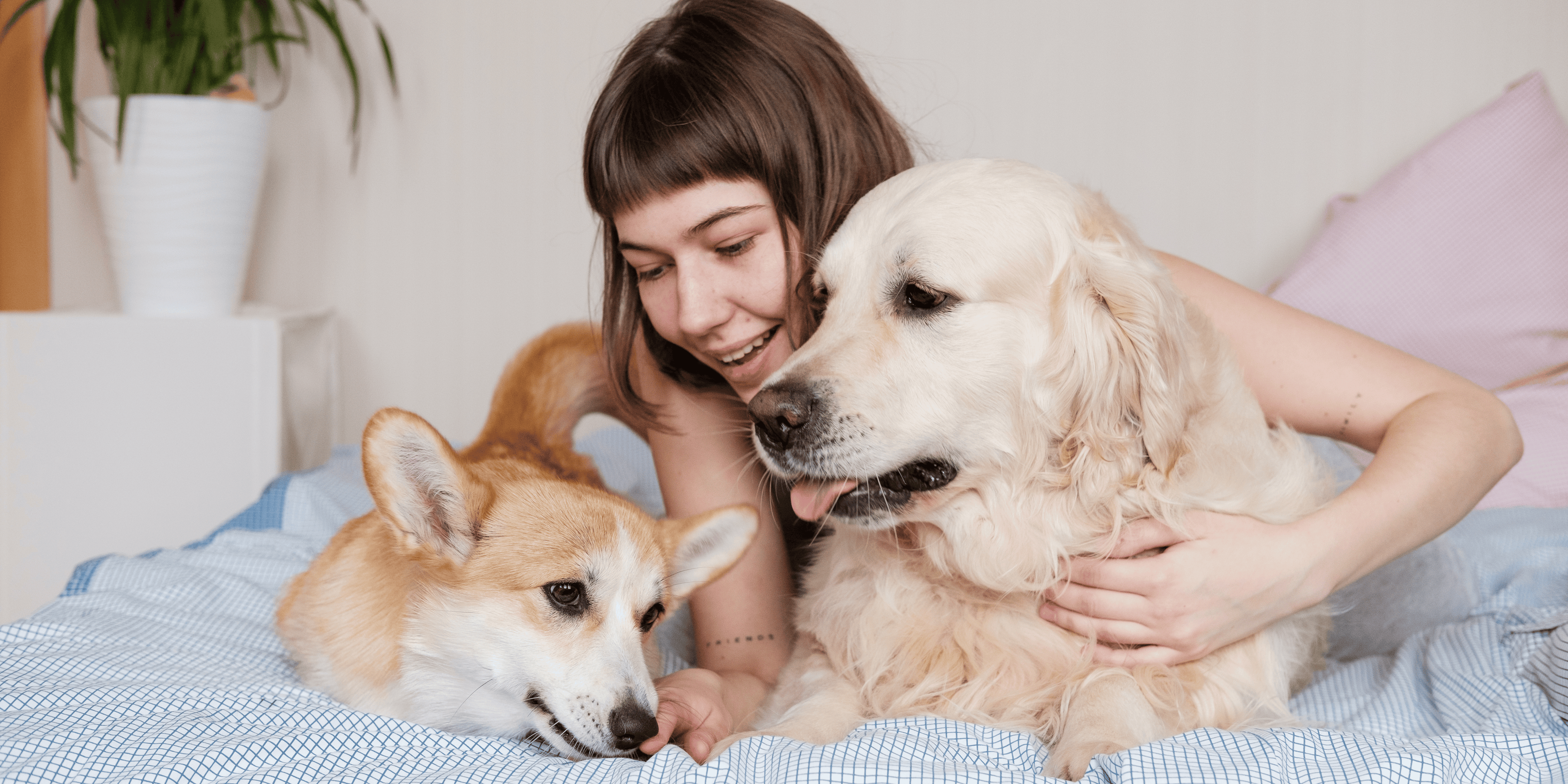 slider image slider_item_q9giLp