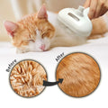 Chat roux toiletté à la brosse vapeur, comparaison du pelage avant et après
