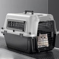 Cage de Transport pour Chat – Sac Portable Anti-Choc pour le Transport de Chats
