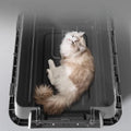 Cage de Transport pour Chat – Sac Portable Anti-Choc pour le Transport de Chats