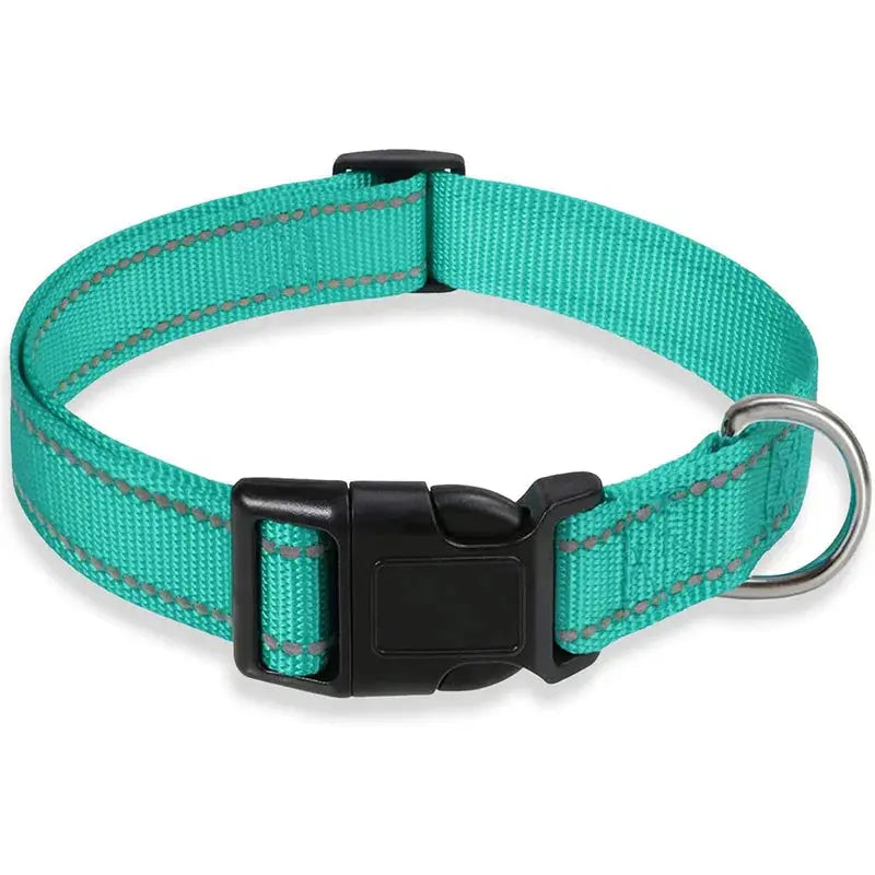 Collier réglable pour chien en nylon lac bleu avec bandes réfléchissantes, fermeture à clip robuste et anneau en acier inoxydable pour la laisse. Conçu pour offrir confort, sécurité et visibilité lors des promenades quotidiennes.