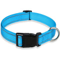 Collier réglable pour chien en nylon bleu ciel avec bandes réfléchissantes, fermeture à clip robuste et anneau en acier inoxydable pour la laisse. Conçu pour offrir confort, sécurité et une meilleure visibilité lors des promenades quotidiennes.