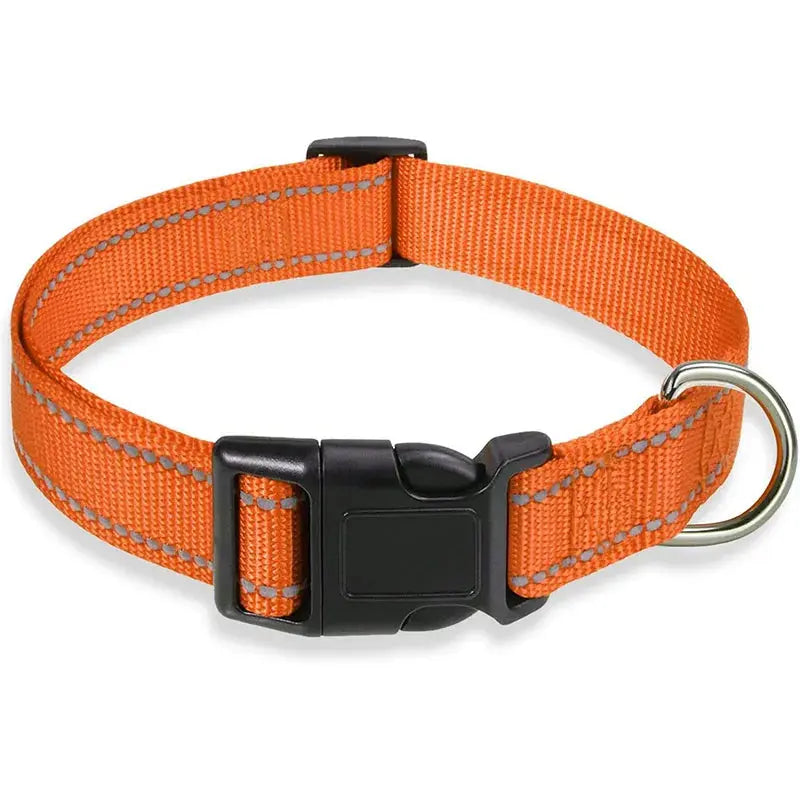 Collier réglable pour chien en nylon orange avec bandes réfléchissantes, fermeture à clip robuste et anneau en acier inoxydable pour la laisse. Conçu pour offrir confort, sécurité et une meilleure visibilité lors des promenades quotidiennes.