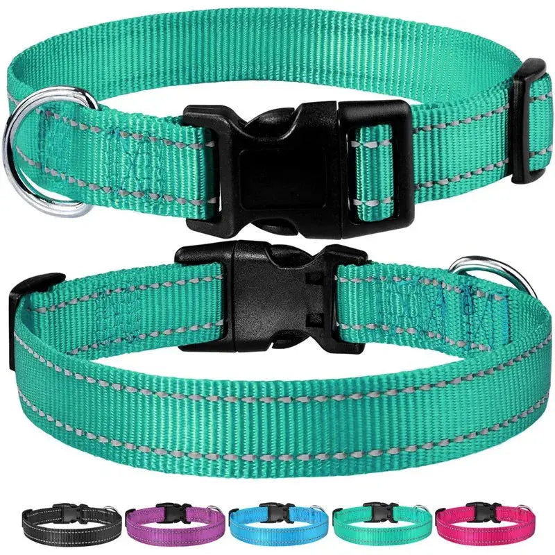Collier réglable pour chien en nylon vert avec bandes réfléchissantes, fermeture à clip robuste et anneau en acier inoxydable. Disponible en plusieurs couleurs pour assurer confort, sécurité et visibilité lors des promenades.