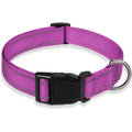 Collier réfléchissant réglable pour chien en nylon violet, fermeture à clip robuste et anneau en acier inoxydable pour laisse, assure sécurité et un confort optimal lors des promenades.