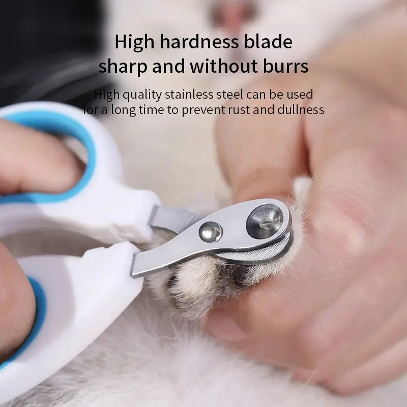 Coupe-griffes professionnel en acier inoxydable pour chats – Outil de toilettage pour animaux