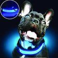 PARENCE - Collier Lumineux pour Chien Taille M, 3 Modes d'Eclairage/Collier LED pour Animaux avec Boucle d'attache et Fermeture à Clipser gestionproduitsannimaux