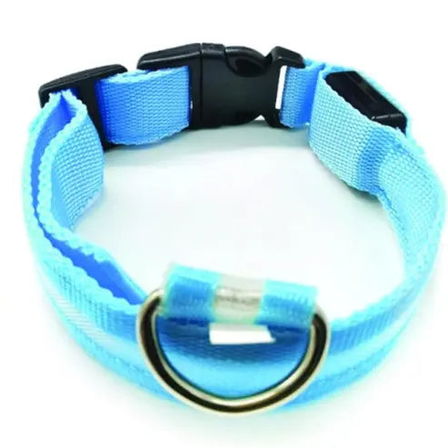 PARENCE - Collier Lumineux pour Chien Taille M, 3 Modes d'Eclairage/Collier LED pour Animaux avec Boucle d'attache et Fermeture à Clipser gestionproduitsannimaux
