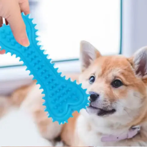 Jouet à Mâcher en Caoutchouc Souple - Forme Sophia - Résistant aux Morsures - Meulage des Dents - Jouet d'Entraînement pour Petits Chiens gestionproduitsannimaux