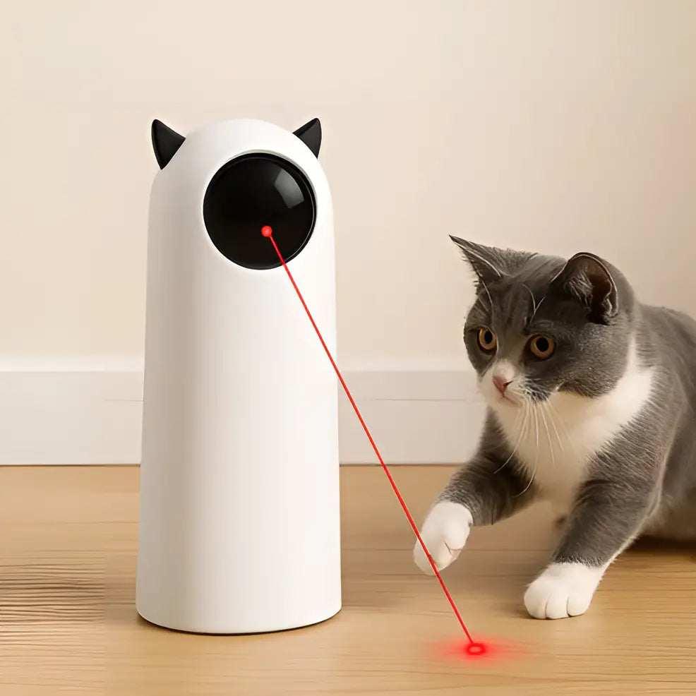 ROJECO-JOUET LASER AUTOMATIQUE POUR CHAT gestionproduitsannimaux