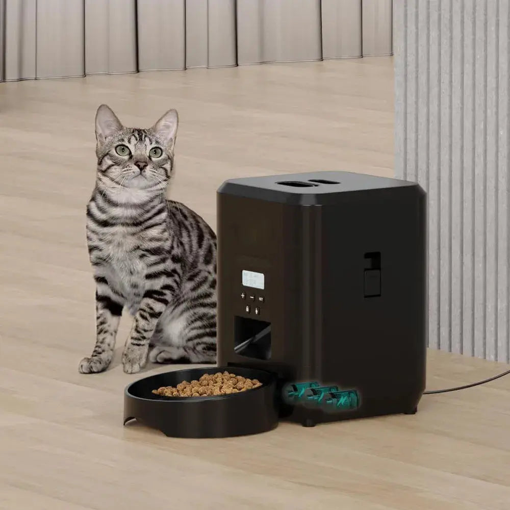 Distributeur automatique de croquettes pour chat avec réservoir grande capacité, écran de programmation et gamelle intégrée. Idéal pour distribuer des repas à heures fixes, contrôler les portions et assurer une alimentation régulière en votre absence.