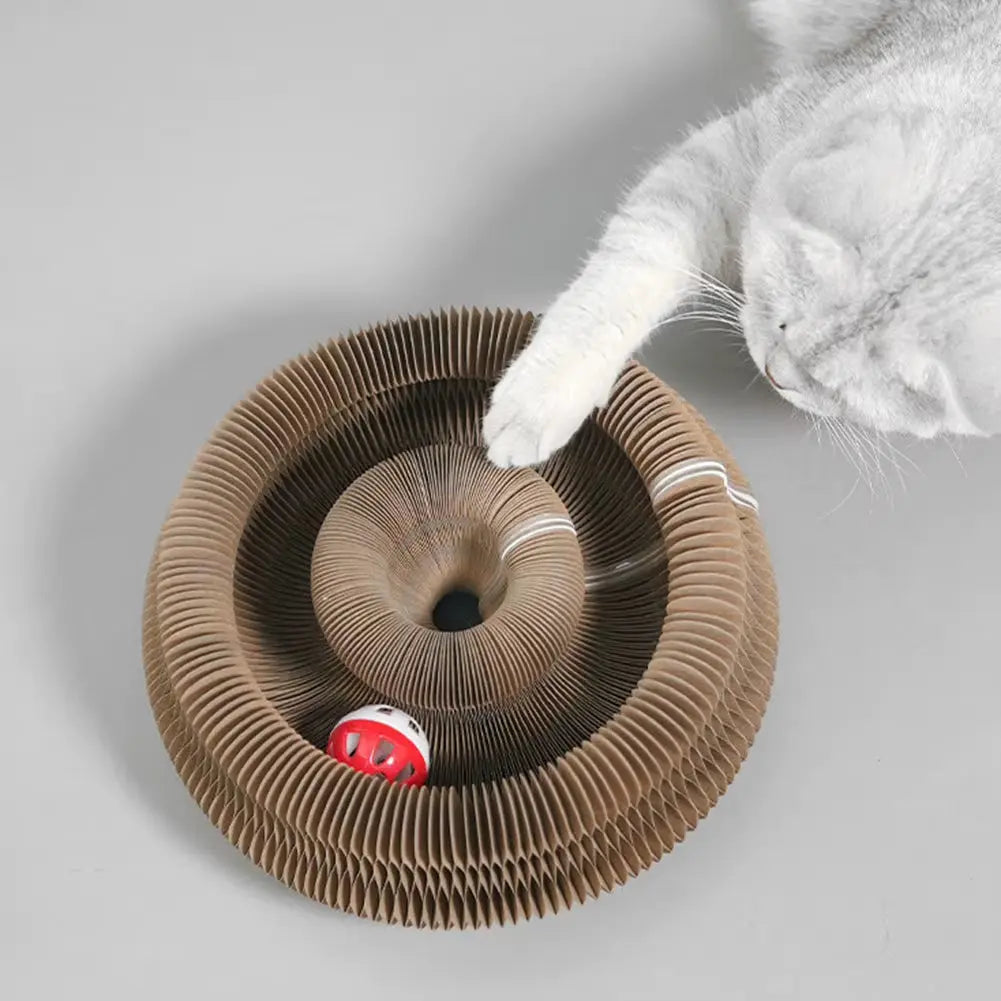 Chat blanc jouant avec griffoir accordéon en carton et balle rouge interactive