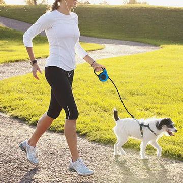 Laisse rétractable bleu pour chien en situation - promenade active en extérieur
