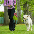 Femme faisant du jogging avec son chien tenu par une laisse rétractable vert, dans un parc .