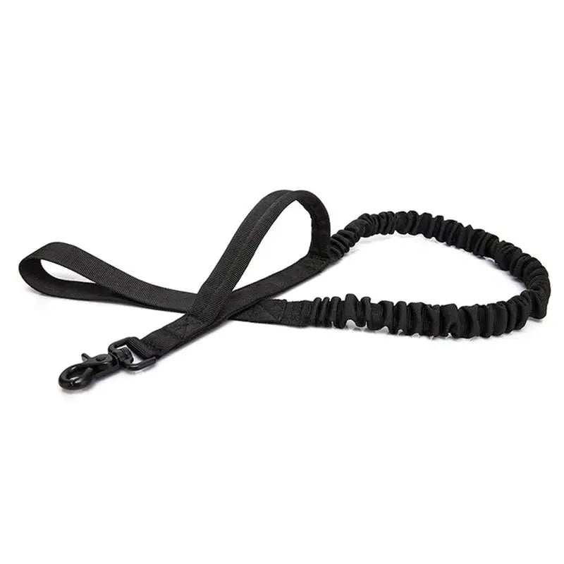 Laisse tactique extensible noir pour chien avec mousqueton métallique 