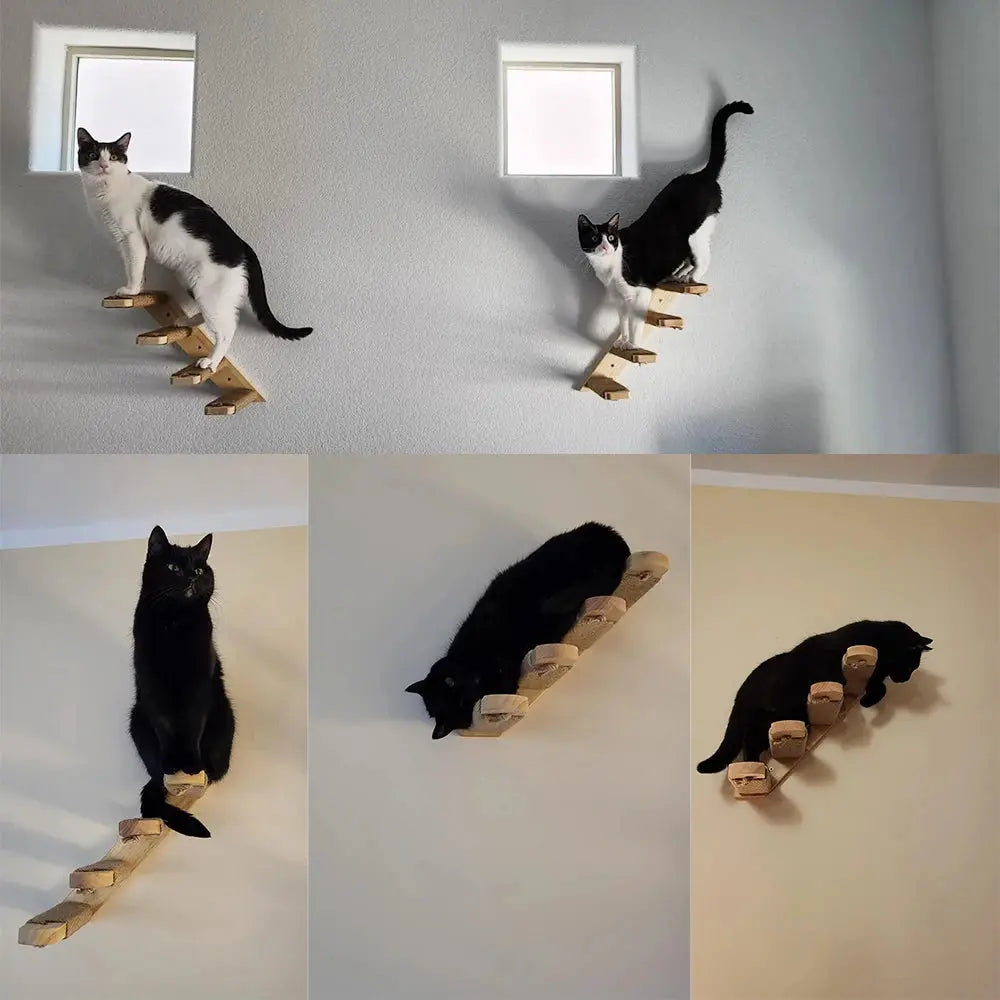 Escalier mural en bois massif pour chats actifs et curieux