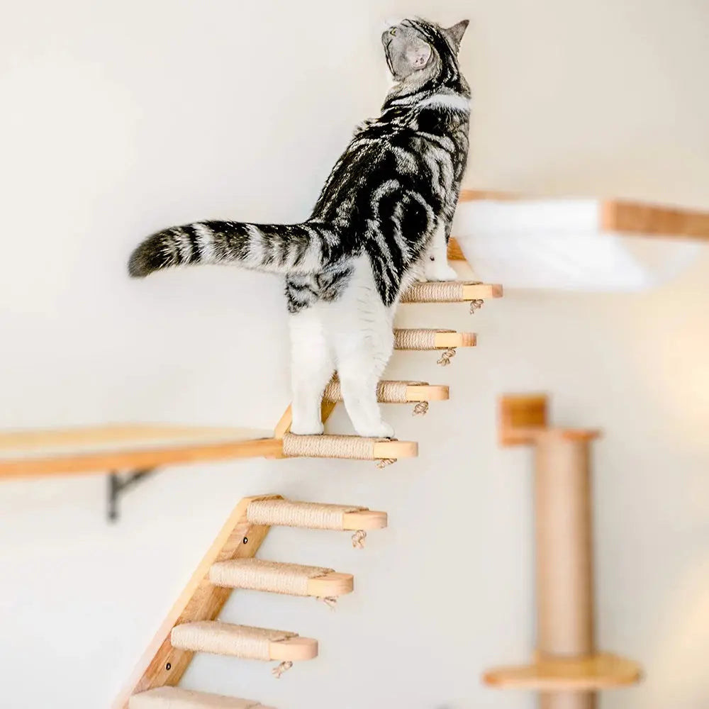 Escalier mural en bois massif pour chats actifs et curieux