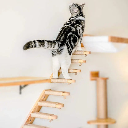 Escalier mural en bois massif pour chats actifs et curieux