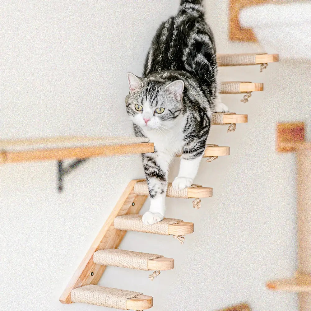 Escalier mural en bois massif pour chats actifs et curieux