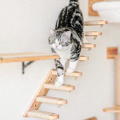 Escalier mural en bois massif pour chats actifs et curieux