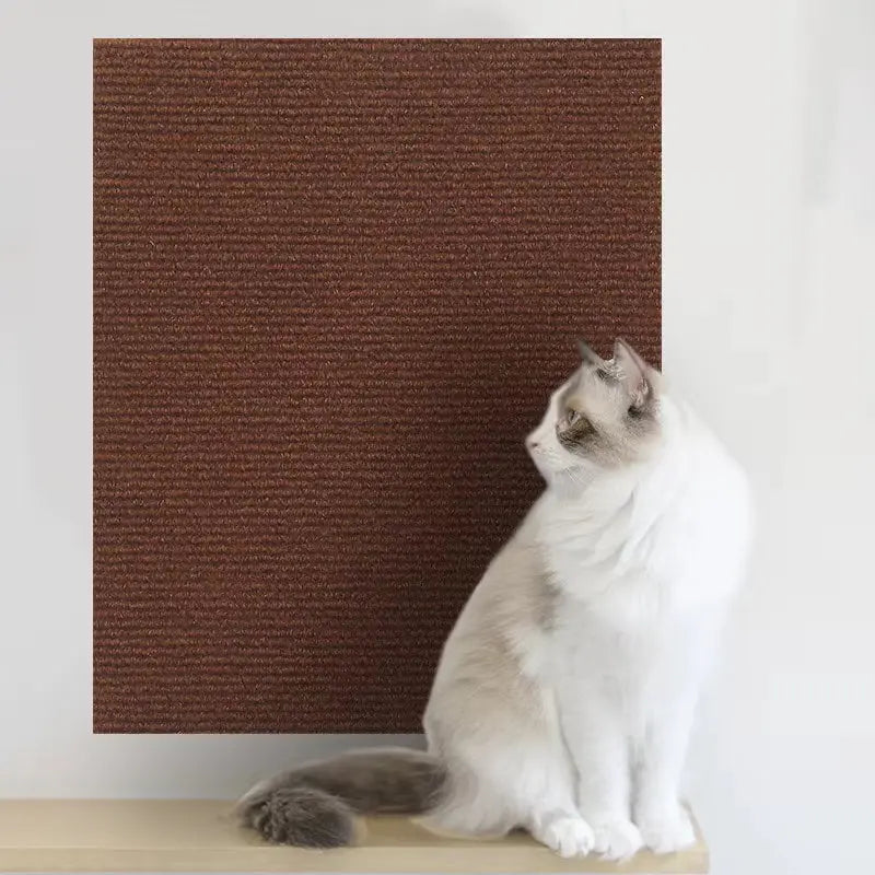 Tapis de protection anti-griffes en tissu texturé marron, autocollant pour mur ou mobilier, chat assis à côté.