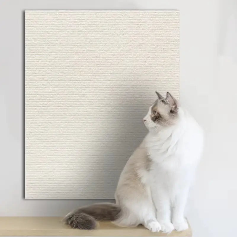 Tapis de protection anti-griffes en tissu texturé blanc chaud, autocollant pour mur ou mobilier, chat assis à côté