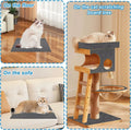 Tapis anti-griffes multi-usages pour chat - sol, canapé et arbre à griffer