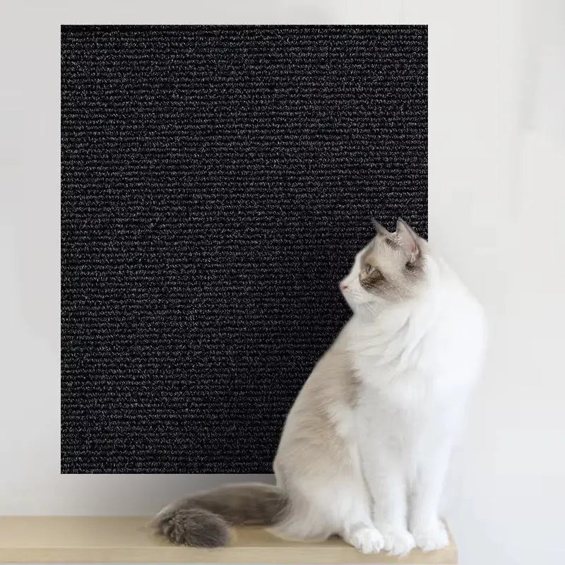 Tapis de protection anti-griffes en tissu texturé noir, autocollant pour mur ou mobilier, chat assis à côté.