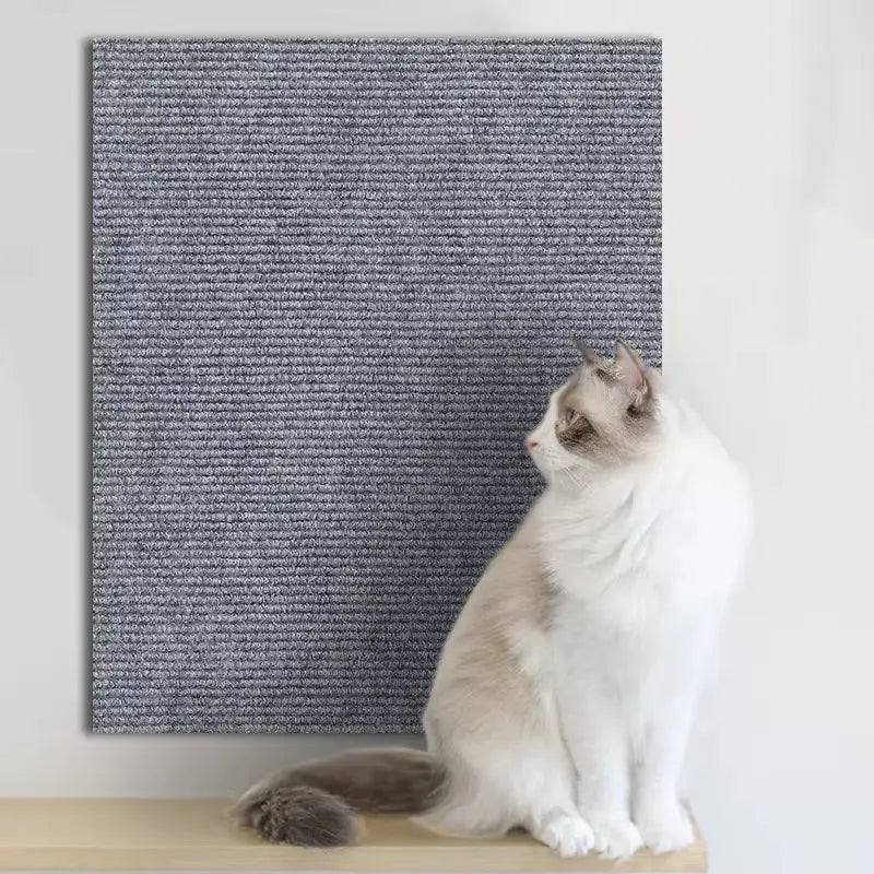 Tapis de protection anti-griffes en tissu texturé gris, autocollant pour mur ou mobilier, chat assis à côté