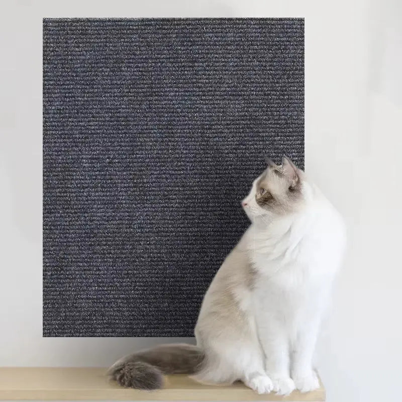 Tapis de protection anti-griffes en tissu texturé gris foncé, autocollant pour mur ou mobilier, chat assis à côté