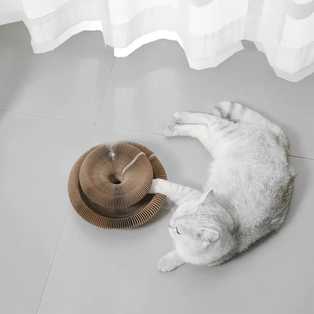 Jeu à griffer accordéon pour chat, carton ondulé pliable, amusant & relaxant