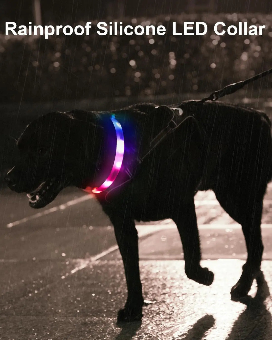 Collier Lumineux Chien, Rechargeable Avec 9 Modes D'Éclairage