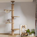 Climbing Toy Cat Tree Floor to Ceiling Cat Tower with with Scratching Post Hammock Floor to Ceiling Pet Tree House Pet Furniture