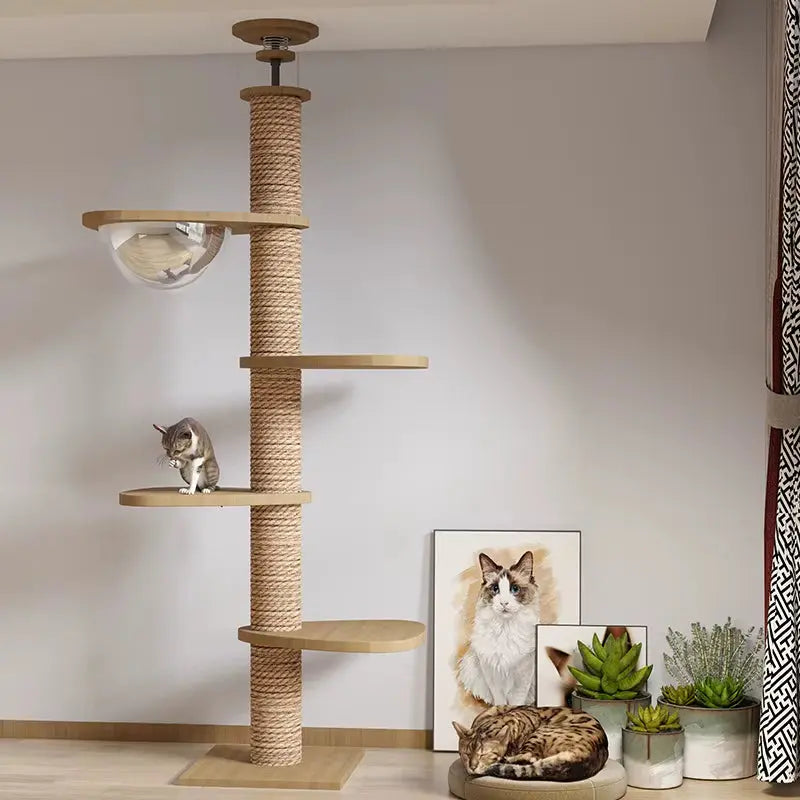 Climbing Toy Cat Tree Floor to Ceiling Cat Tower with with Scratching Post Hammock Floor to Ceiling Pet Tree House Pet Furniture