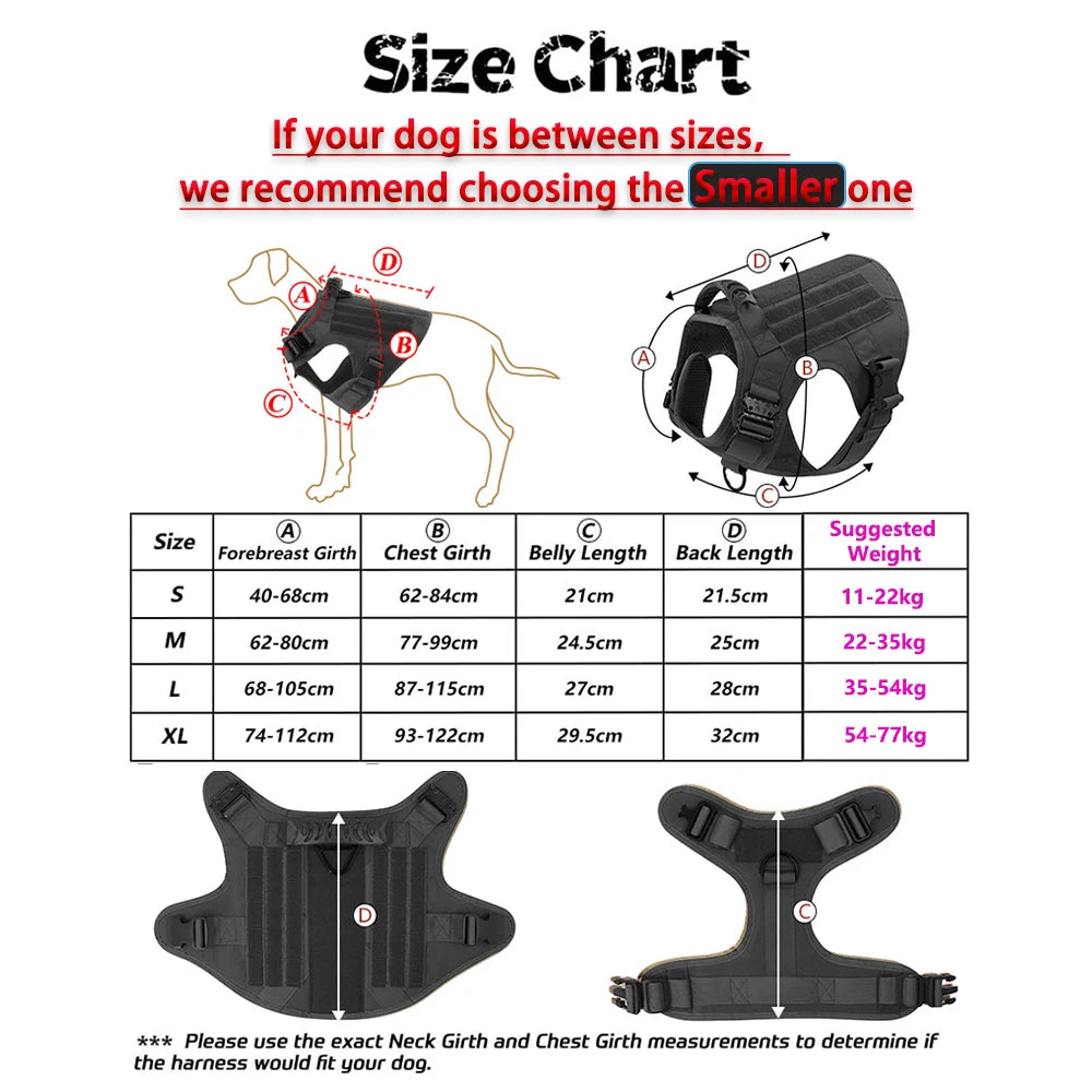 Harnais Tactique Grand Chien avec Laisse et Collier – Pochettes Molle, Berger Allemand et Grandes Races