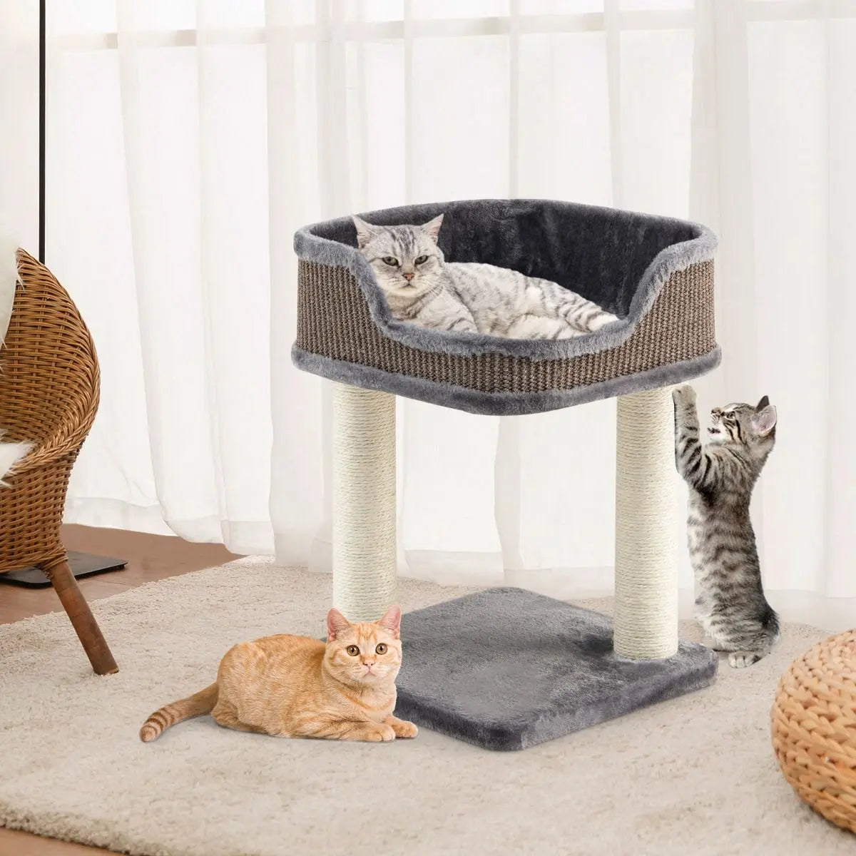 Tour D'Arbre À Chat Compacte Avec Perchoir En Peluche Et Griffoirs Pour Se Faire Ses Griffes Gris/Beige
