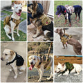 Harnais Tactique Grand Chien avec Laisse et Collier – Pochettes Molle, Berger Allemand et Grandes Races