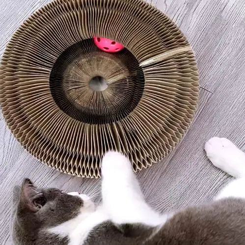 Griffoir pour Chat - Planche d'Orgue Magique - Carton Ondulé - Jouet Interactif avec Balle - Pliable et Modulable - Respectueux de l'Environnement gestionproduitsannimaux